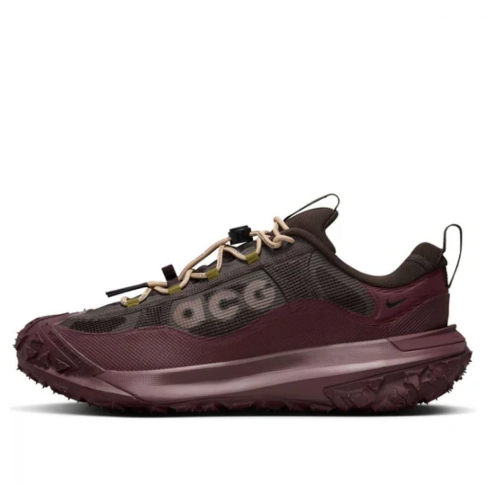 Giày Nike ACG Mountain Fly 2 Low GTX ‘Velvet Brown Burgundy’ HF6245-200