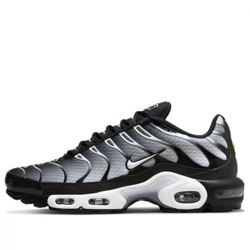 Giày Nike Air Max Plus ‘Black Metallic Silver’ DM0032-003
