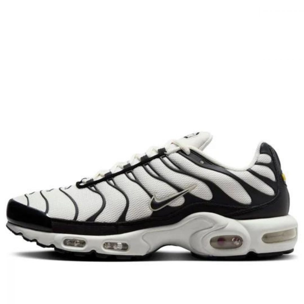 Giày Nike Air Max Plus Essential ‘Panda’ FV6264-001