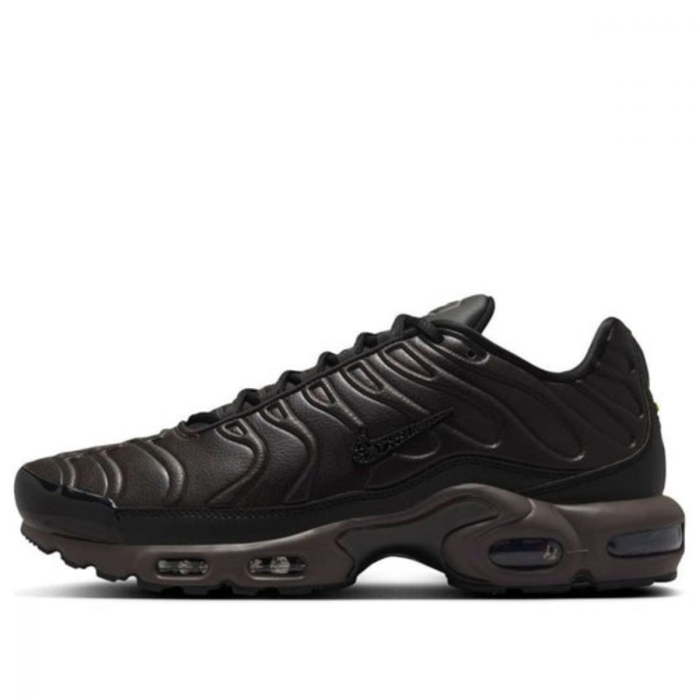 Giày Nike Air Max Plus Premium ‘Paris’ HJ4519-200
