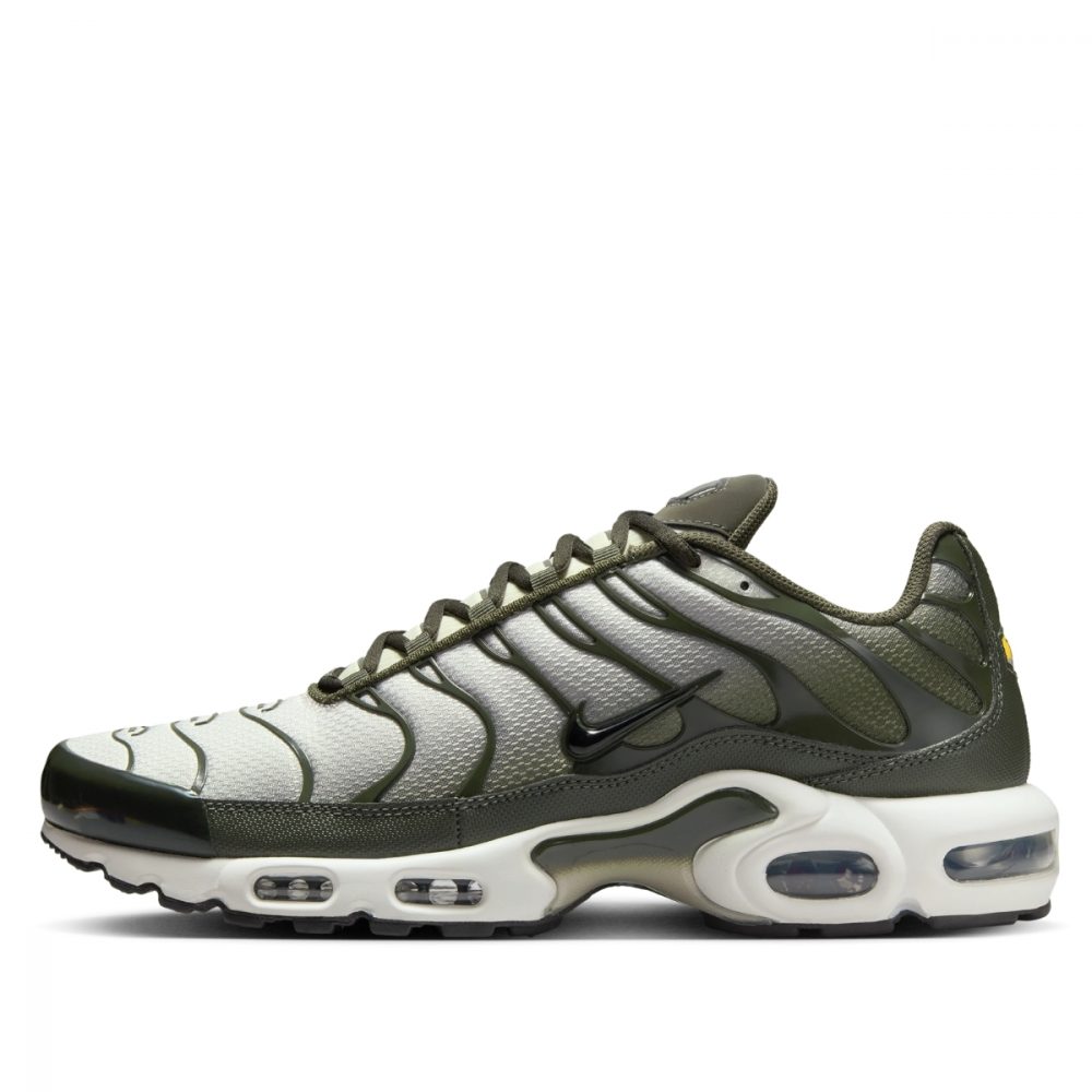 Giày Nike Air Max Plus ‘Sequoia’ DM0032-300