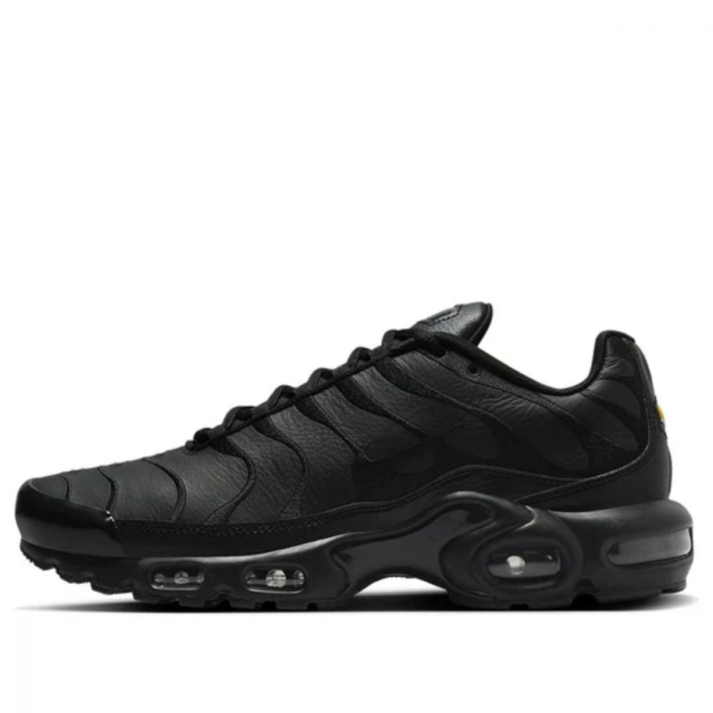 Giày Nike Air Max Plus TN ‘Triple Black’ AJ2029-001