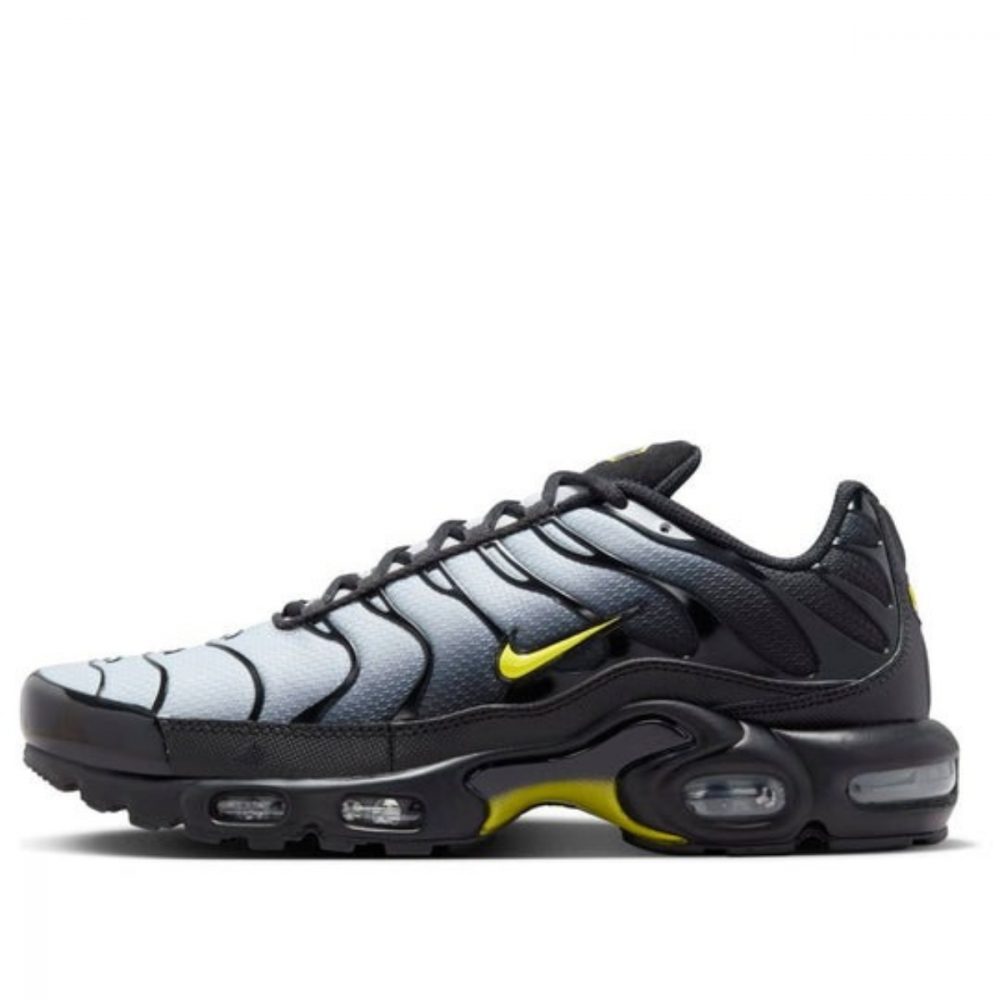 Giày Nike Air Max Plus ‘Wolf Grey Opti Yellow’ DM0032-012