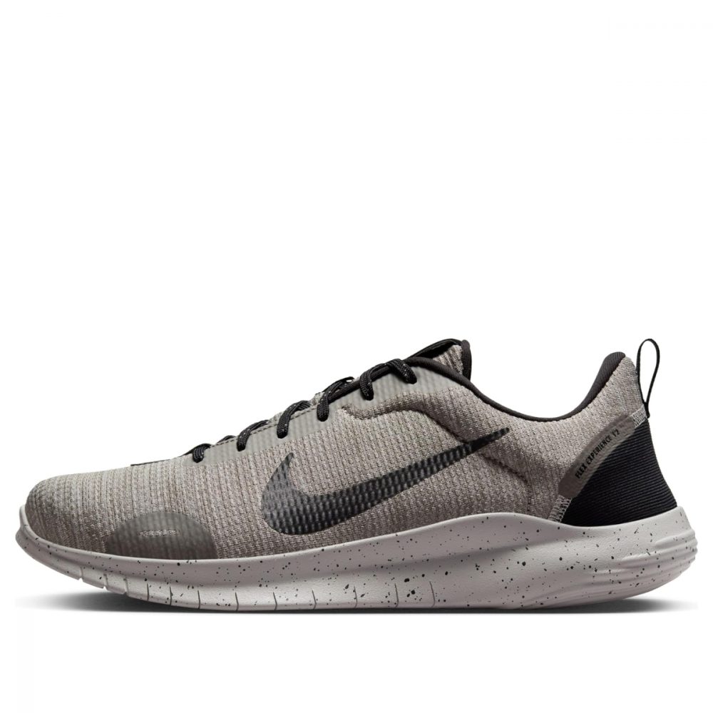 Giày Nike Flex Experience RN Lt Iron Ore Black DV0740-001