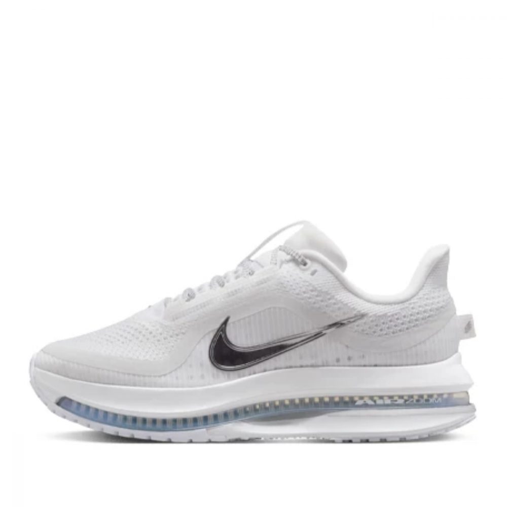 Giày Nike Pegasus Premium ‘White Metallic Silver’ HQ2593-102