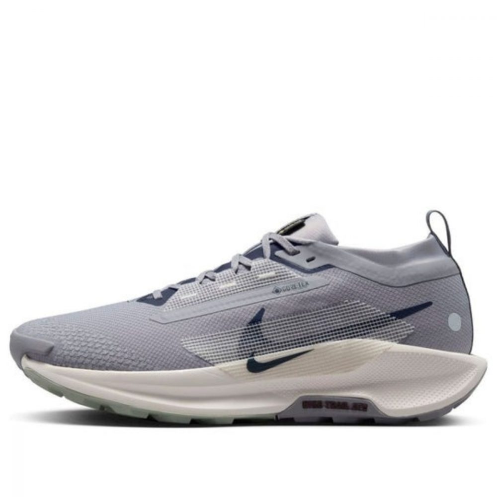 Giày Nike Pegasus Trail 5 GORE-TEX ‘Cement Grey’ FQ0908-006