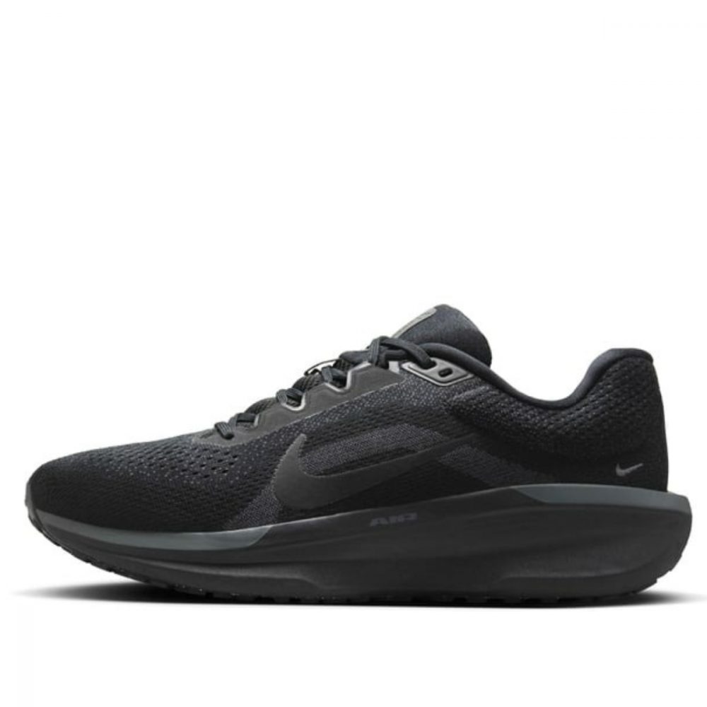 Giày Nike Winflo 11 ‘Black/Anthracite’ FJ9509-002